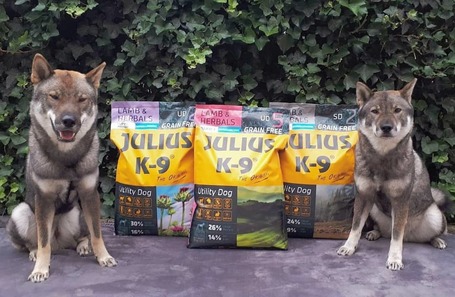 Julius-K9 GF Hypoallergenic Utility Dog Puppy & Junior Lamb & Herbals | Érzékeny emésztésű kölyökkutyáknak | Szárazeledel