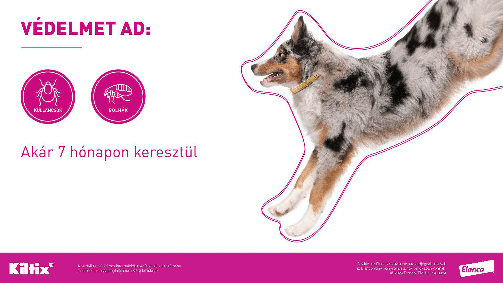 Zgardă Kiltix - zoom