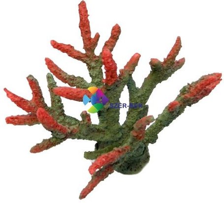 Szirtkorall akvárium dekoráció