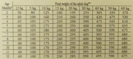 Happy&Fit Puppy & Junior Sensitive Lamb & Rice hipoallergén táp kölyökkutyáknak