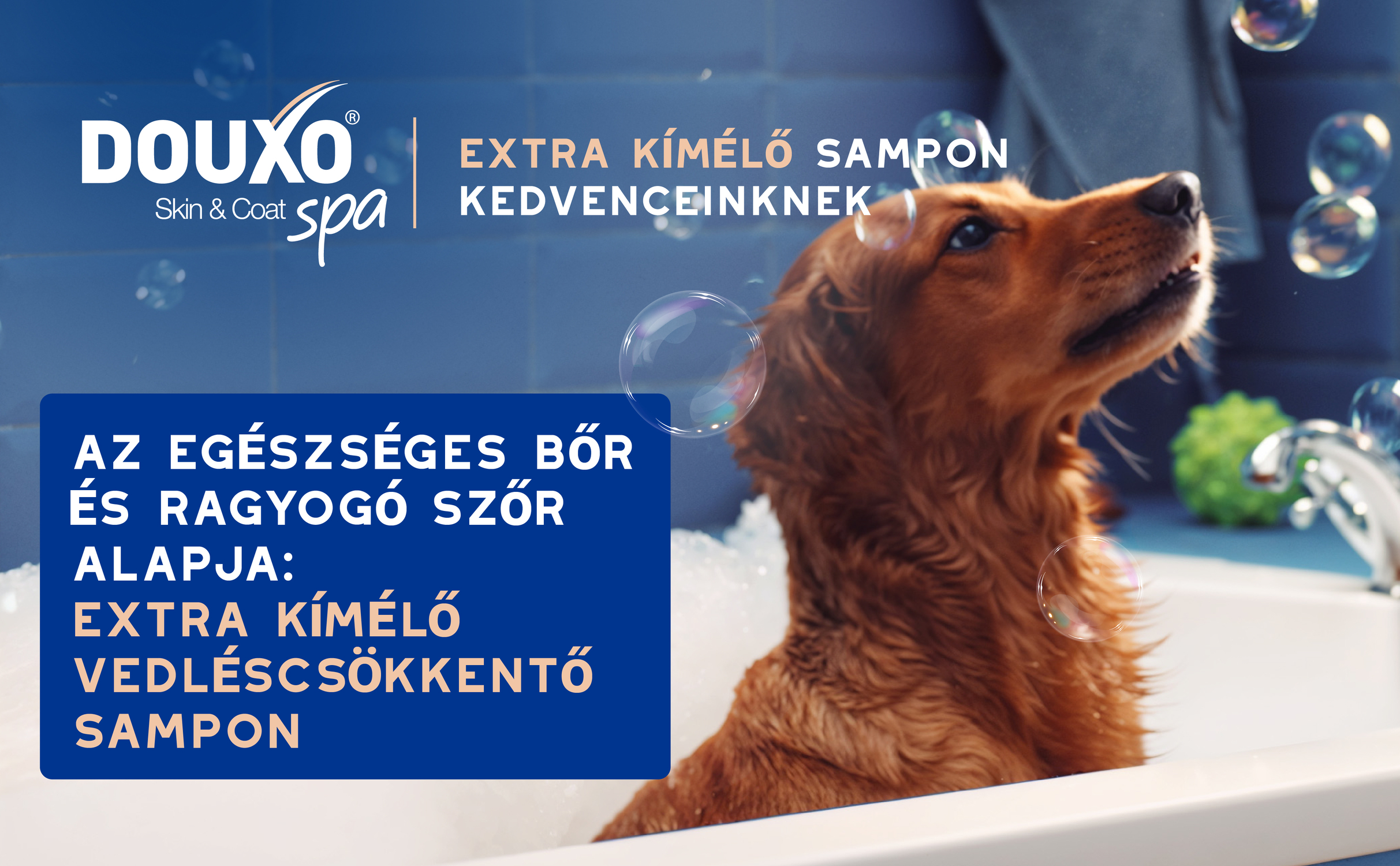 HU DouxoSpa ShedControl Shampoo BTF Tile 1