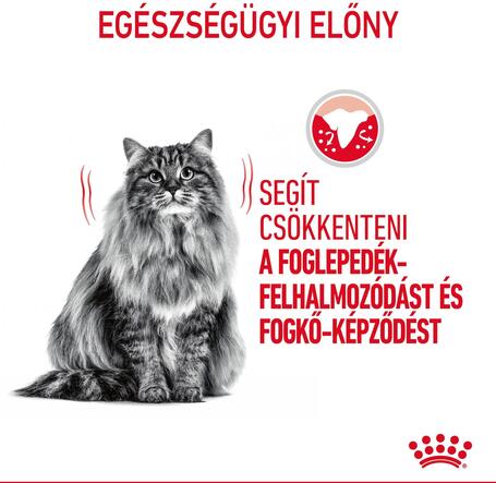 Royal Canin Dental Care - Száraz táp felnőtt macskák részére a fogkőképződés csökkentéséért
