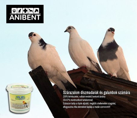 Anibent bentonitos szárazalom díszmadaraknak