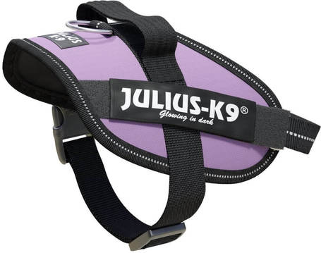 Julius-K9 IDC lila powerhám kutyáknak