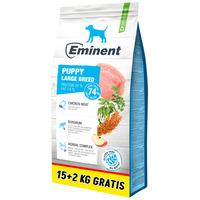 Eminent Puppy Large Breed