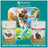 N.P.C.S. Flexi - Csont, Porc, Ízület, Izom #2