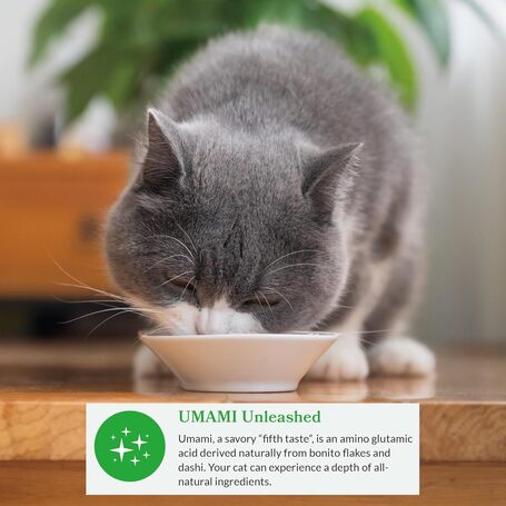 Inaba Cat Dashi Delights Chicken with Tuna & Salmon