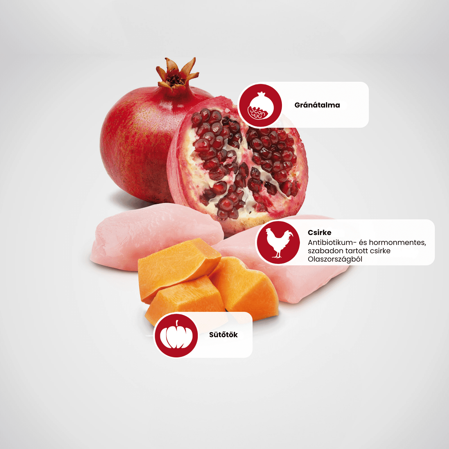 N&D Cat Chicken, Pumpkin & Pomegranate - Conservă de pui, dovleac și rodii pentru pisici - zoom