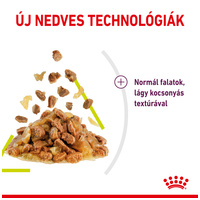 Royal Canin Sensory Smell Jelly - Zselés felnőtt macska nedves táp fokozott illattal #3