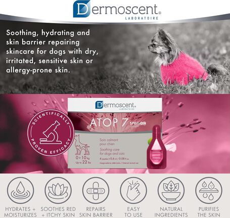 Dermoscent ATOP 7 spot-on kutyáknak és macskáknak