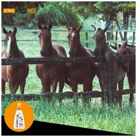 Horsemed SOS sebápoló spray lovaknak #6