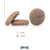 Happy Dog Sensible Irland #3