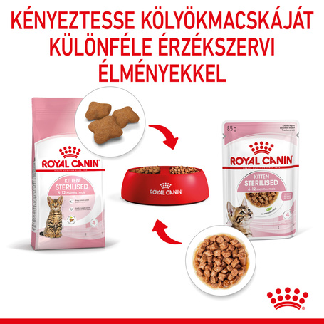 Royal Canin Kitten Sterilised Gravy - Ivartalanított kölyök macska szószos nedves táp