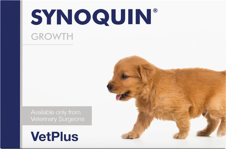 Synoquin Growth ízületvédő tabletta nagytestű kölyökkutyának