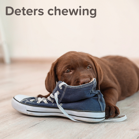 Beaphar beltéri nevelő, távoltartó spray