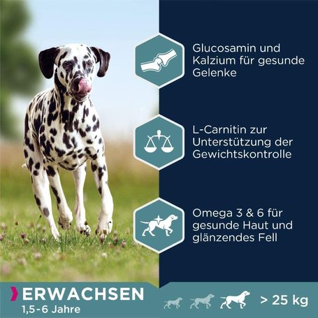 Eukanuba Adult Large Salmon & Barley | Lazacos táp felnőtt kutyáknak