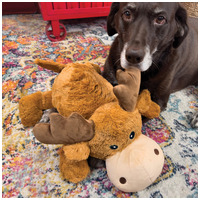 Kong Cozie Marvin a jávorszarvas plüss figura #3