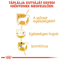 Royal Canin Poodle Adult - Uszkár felnőtt kutya száraz táp #4