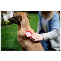 MagicBrush kutyakefék #7