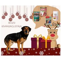 Bözsi, a 10 éves idős hölgy #10