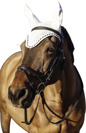 Covalliero Classic fülvédő lovaknak