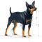 Royal Canin Mini Digestive Care - Száraz táp érzékeny emésztésű, kistestű felnőtt kutyák részére