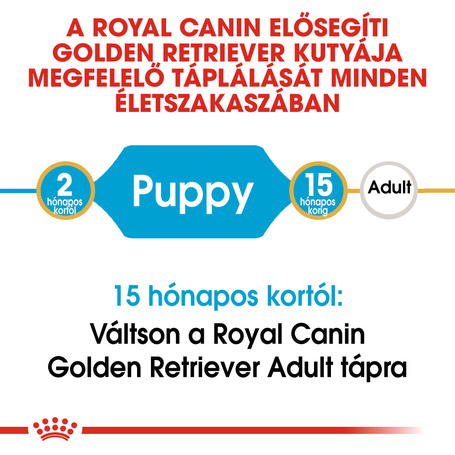 Royal Canin Golden Retriever Puppy - Golden Retriever kölyök kutya száraz táp
