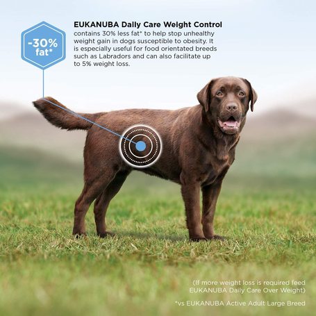 Eukanuba Adult Weight Control Large | Diétás táp nagytestű felnőtt kutyáknak