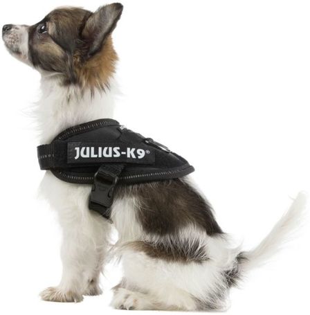 Julius-K9 IDC fekete kutyahám