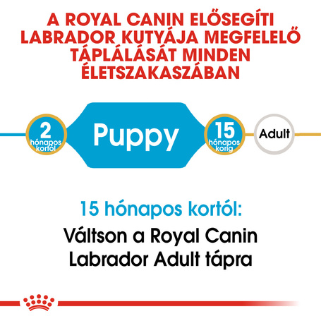 Royal Canin Labrador Junior - Labrador Retriever kölyök kutya száraz táp