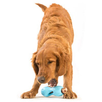 West Paw Qwizl - Jutalomfalattal tölthető rágóka #18