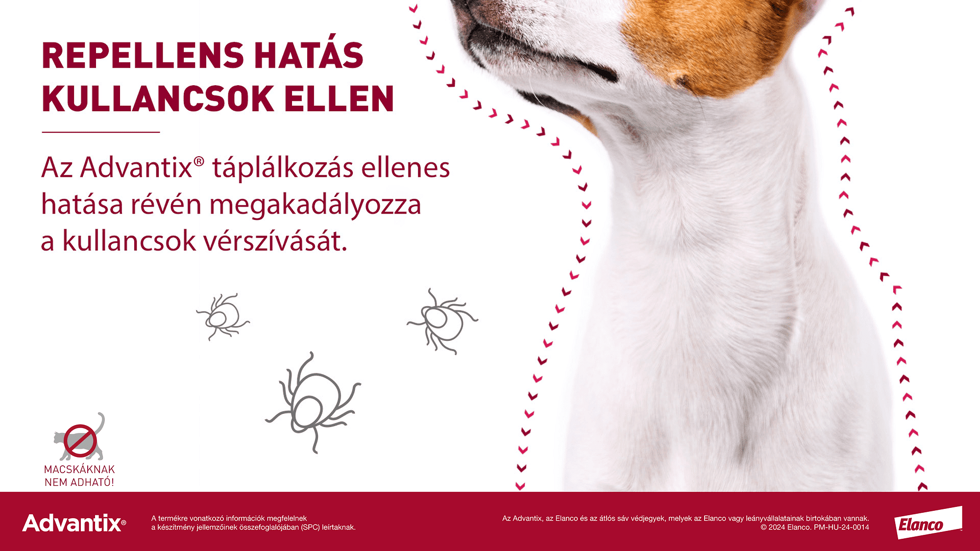 Advantix Spot On kutyáknak