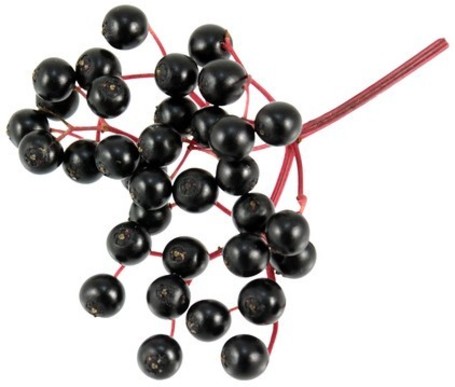 Biogance White Snow Shampoo | Fehér szőrű kutyák fürdetéséhez