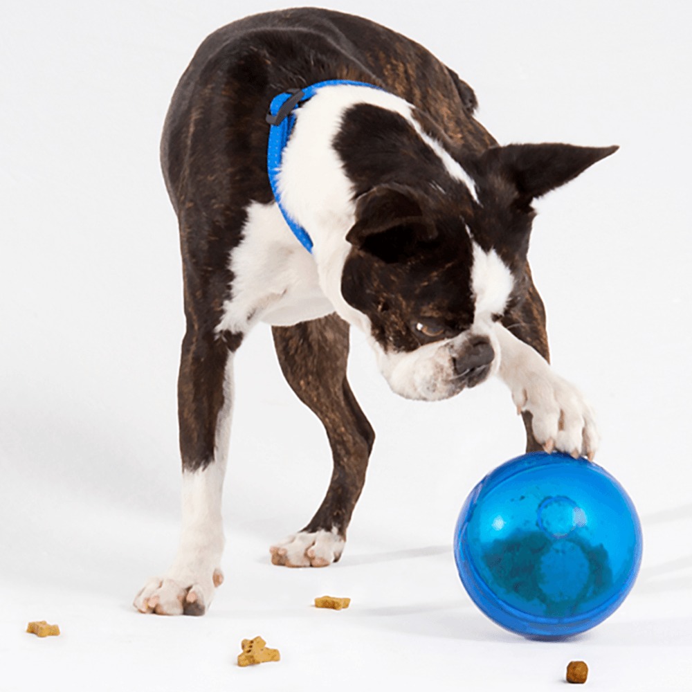 Rogz Tumbler minge de recompensă pentru câini - zoom