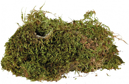 Trixie moha aljzat terráriumba hüllőknek