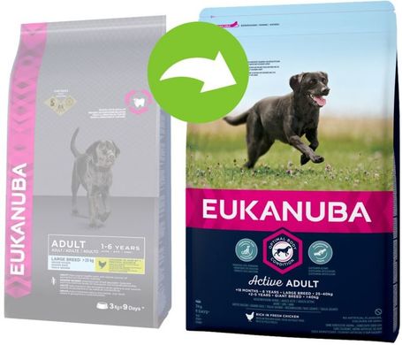 Eukanuba Adult Large 18 kg