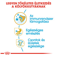 Royal Canin Bulldog Junior - Angol Bulldog kölyök kutya száraz táp #4