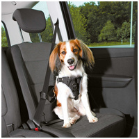 Trixie Dog Comfort autós hám és biztonsági mellény kutyáknak #8