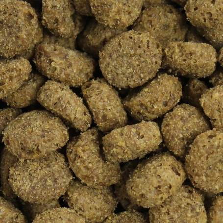 Eukanuba Intestinal Disorders száraz gyógytáp kutyáknak emésztőszervi problémák esetén