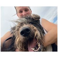 Kócos, 1 éves, kan #4