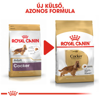Royal Canin Cocker Adult - Cocker Spániel felnőtt kutya száraz táp #8