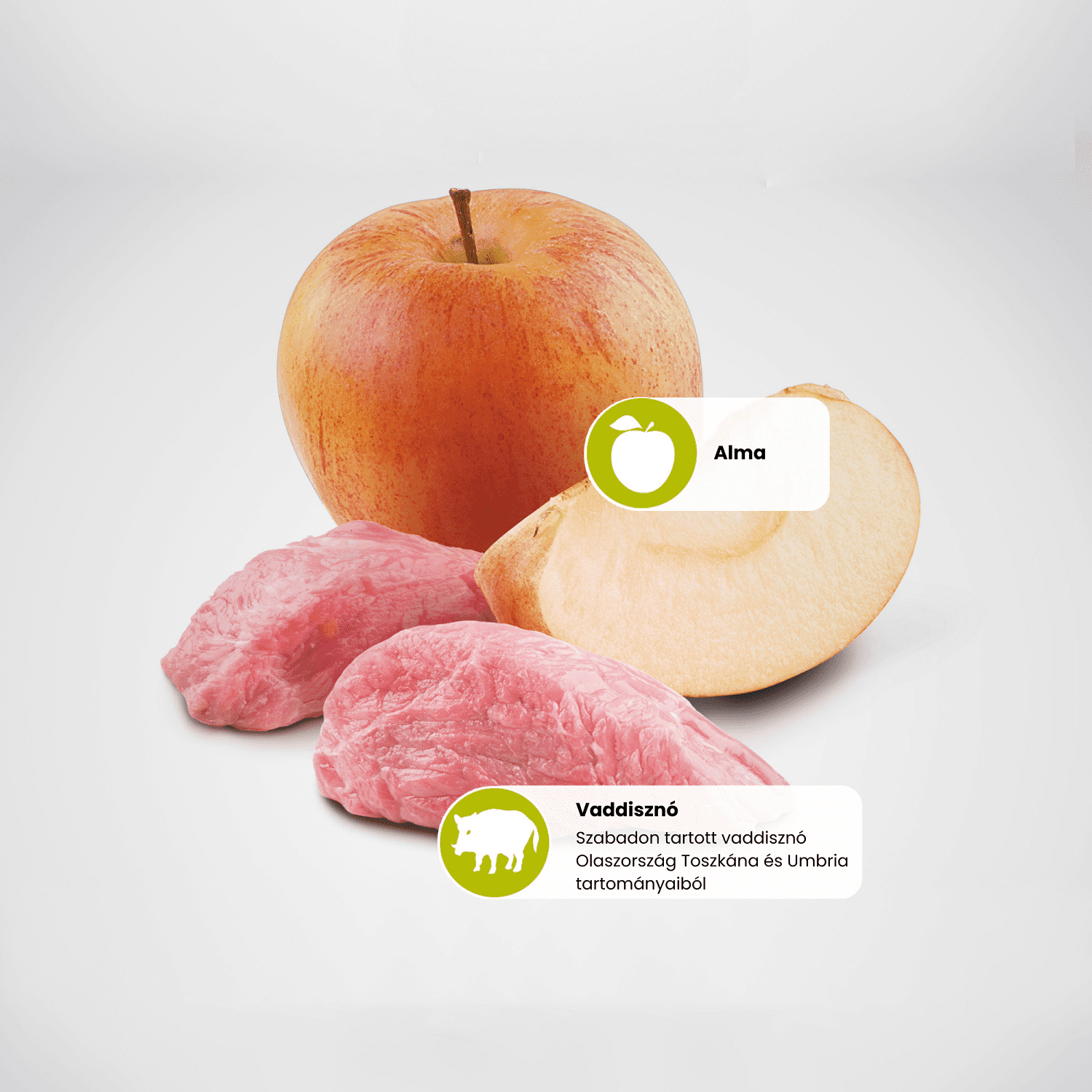 N&D Dog Adult Mini Boar & Apple Grain Free | Vaddisznóhúsos és almás kutyaeledel | Kistestű kedvenceknek