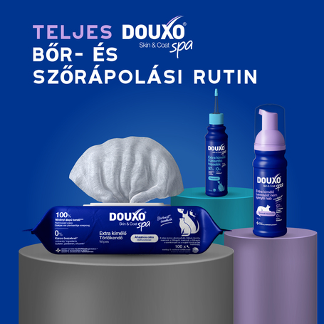 Douxo Spa lemosást nem igénylő hab macskáknak