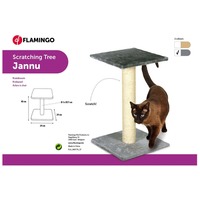 Flamingo fedeles kaparófa #3