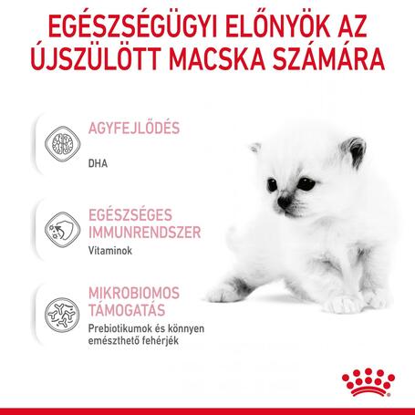 Royal Canin Babycat Milk - tejpótló tápszer kölyökmacska részére