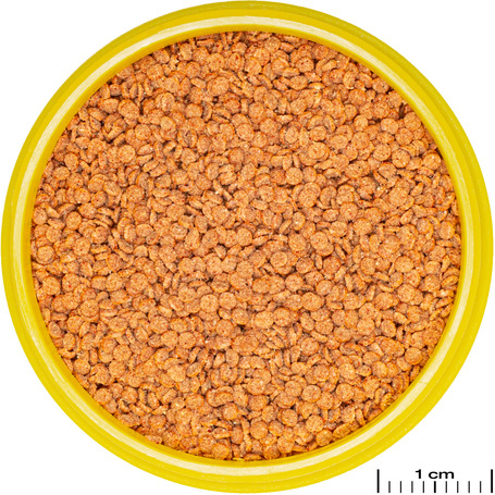 JBL ProNovo Betta Grano S Click alapeleség bettáknak