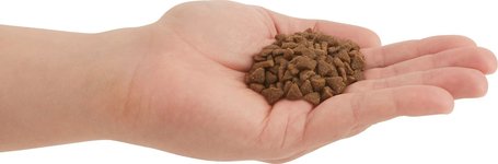 Acana First Feast eledel kölyökmacskáknak