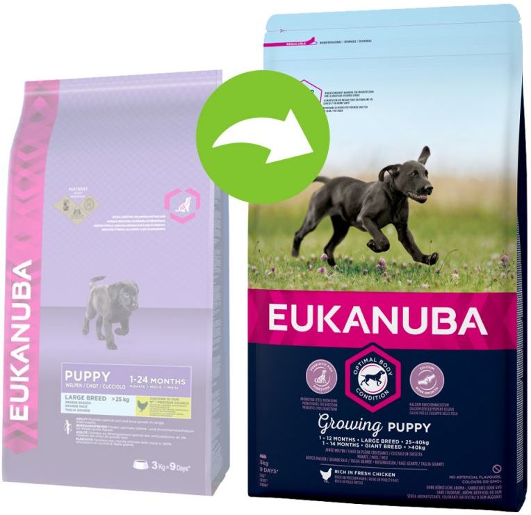Eukanuba Puppy Large | Hrană pentru pui de câini de talie mare