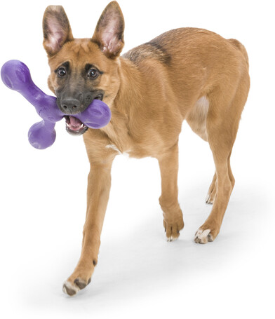 West Paw Skamp - Apport kutyajáték