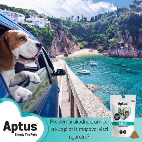 Aptus Relax gyorsan ható nyugtató rágótabletta
